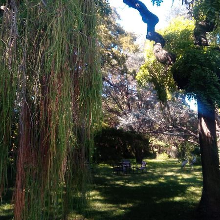 Cabana En Quinta La Aurora Міна-Клаверо Екстер'єр фото