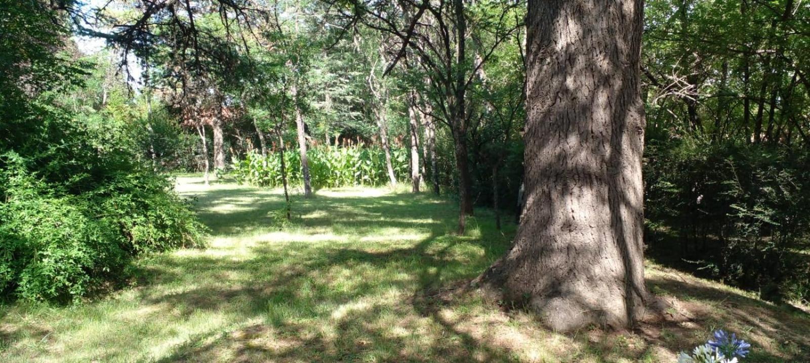Cabana En Quinta La Aurora Міна-Клаверо Екстер'єр фото